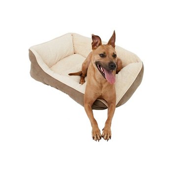 מיטות לכלבים