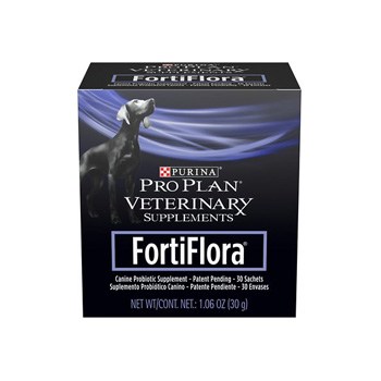 תוספי תזונה לכלבים